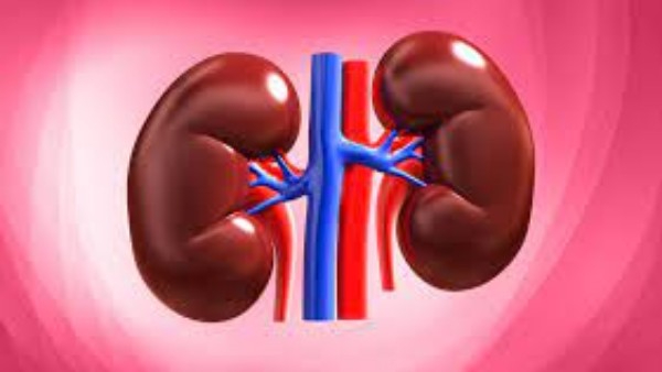 These are the symptoms that appear before the kidneys fail Be careful