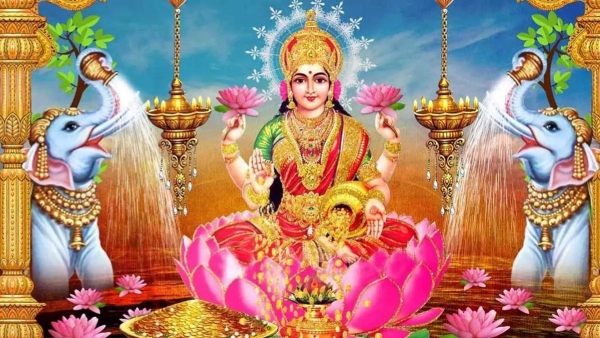 nirjala ekadashi 2025 don t do these near tulasi plant for lakshmi blessings nirjala ekadashi 2025 don t do these near tulasi plant for lakshmi blessings