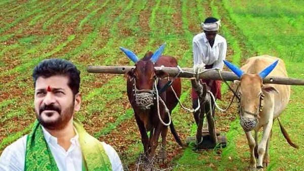 Good news on rythu bharosa cm revanth reddy plan to give rythu bharosa before local body elections Good news on rythu bharosa cm revanth reddy plan to give rythu bharosa before local body elections
