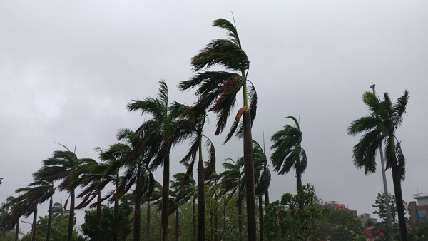 AP to witness heavy rain and gusty winds due to cyclonic circulation over Arabian Sea AP to witness heavy rain and gusty winds due to cyclonic circulation over Arabian Sea