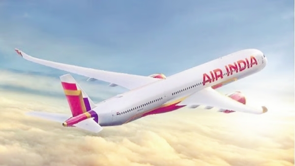 Air India Flight from Delhi to Pune Struck by Bird