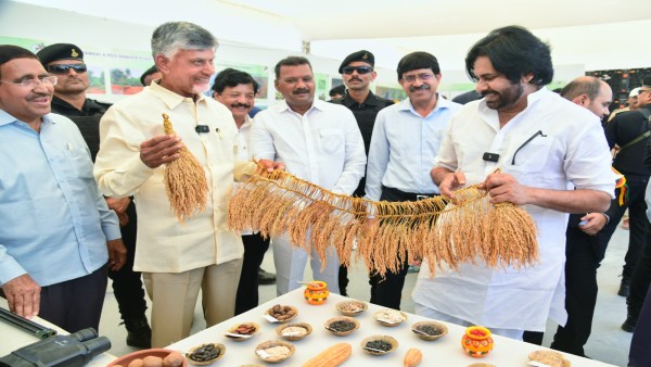cm-chandra-babu-fixed-target-of-five-crore-sapling-plantation-in-the-state