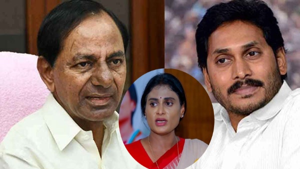 కేసీఆర్-జగన్ ప్లాన్-వైవీ సుబ్బారెడ్డి లీక్-వైఎస్ షర్మిల షాకింగ్  కామెంట్స్..! | "my phone tapping kcr-ys jagan's joint plan, yv subbareddy  informed me", says ys sharmila - Telugu Oneindia