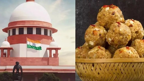 SIT submits report on tirupati laddu adulteration to supreme court