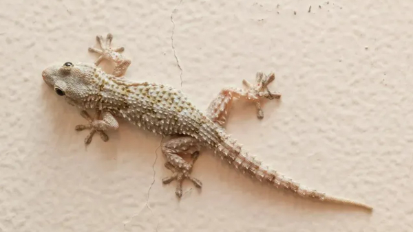 daily horoscope for June 25 2025