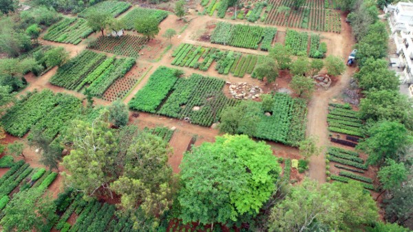 ap government to launch akhanda Godavari tourist project with centre s support on Jun 19 ap government to launch akhanda Godavari tourist project with centre s support on Jun 19