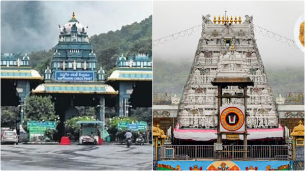 TTD Plans to expansion Alipiri