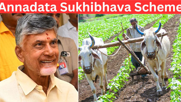 AP Govt announces eligible beneficiaries list of Annadata sukhibava scheme AP Govt announces eligible beneficiaries list of Annadata sukhibava scheme