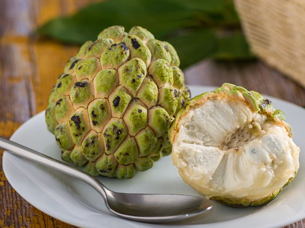 custard apple health benefits and uses in telugu