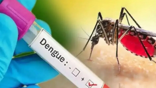 DengiAll Vaccine to Prevent Deadly Dengue Disease Nears Availability DengiAll Vaccine to Prevent Deadly Dengue Disease Nears Availability