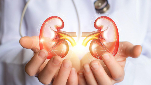 Are you eating these foods Take care of your kidneys Are you eating these foods Take care of your kidneys