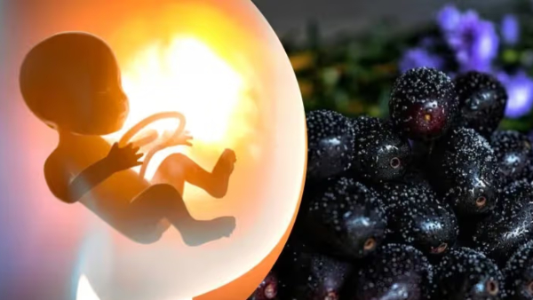 Health benefits of Jamun fruit can pregnant women eat them