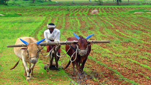 JP Nadda Assures Telangana Farmers No Fertilizer Shortage with Full Support JP Nadda Assures Telangana Farmers No Fertilizer Shortage with Full Support