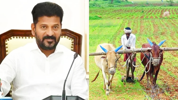 Congress Government to Implement Agro-Forestry Policy to Boost Farmers Income