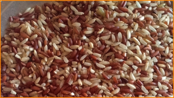 brown-rice-has-a-slight-advantage-over-white-rice-when-it-comes-to-nutrient-content