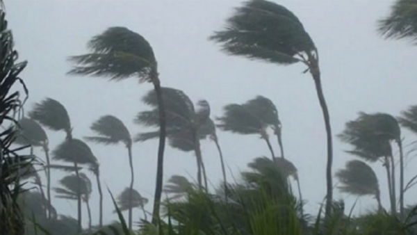 Stay Informed Severe Rainfall Warning for Andhra Pradesh as Depression Forms