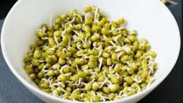 what-are-the-health-benefits-wit-regular-usage-of-green-gram-sprouts what-are-the-health-benefits-wit-regular-usage-of-green-gram-sprouts