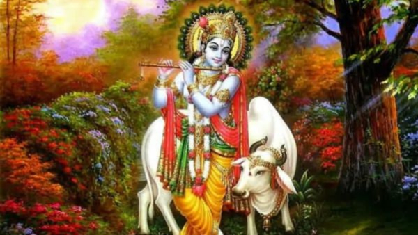 lord krishna favourite zodiac signs lifelong wealth to these zodiac signs lord krishna favourite zodiac signs lifelong wealth to these zodiac signs