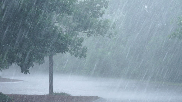 heavy-rain-alert-for-some-districts-in-ap-due-to-cyclone-effect