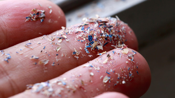 Did you know that there are microplastics in your body