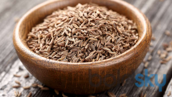 Eating cumin seeds can help you lose weight control diabetes and have many other health benefits