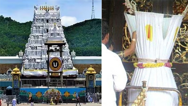 TTD hundi collections in July 2025 raised