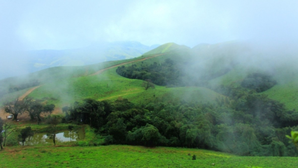 Discover the Untamed Beauty of Coorg Your Ultimate Wildlife Adventure Awaits Discover the Untamed Beauty of Coorg Your Ultimate Wildlife Adventure Awaits