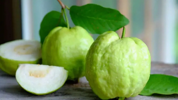 Guava vs Apple The Vitamin-Packed Fruit Rival That Boosts Eyesight