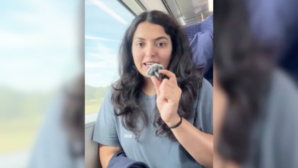 Fired After 2 Days Indian Intern s Heartbreaking Germany Ordeal Goes Viral Fired After 2 Days Indian Intern s Heartbreaking Germany Ordeal Goes Viral