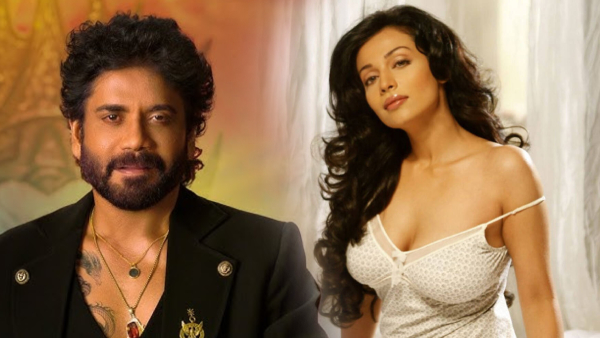 Bigg Boss 9 Telugu Actress Asha Saini s Grand Entry Narasimha Naidu Actress Enters the House