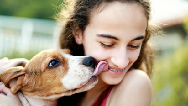 Is Kissing Your Pet Dangerous Expert Warnings on Zoonotic Diseases