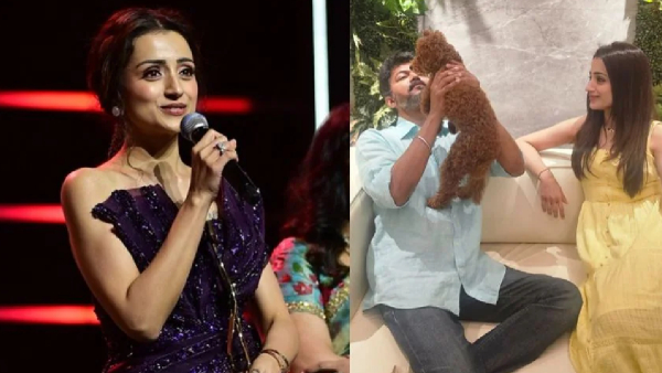 Trisha s Viral Comments on Vijay Rekindle Relationship Rumors