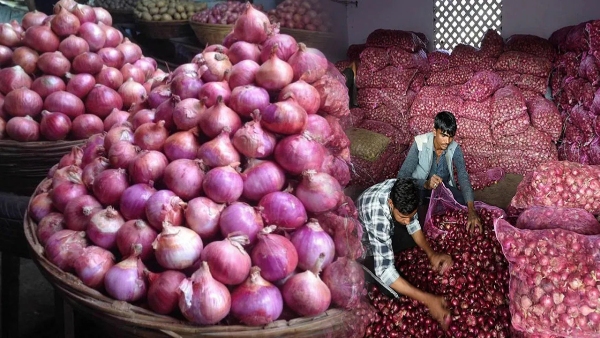 Onions rate only 30 paise per kilo Onion farmers loss in AP Onions rate only 30 paise per kilo Onion farmers loss in AP