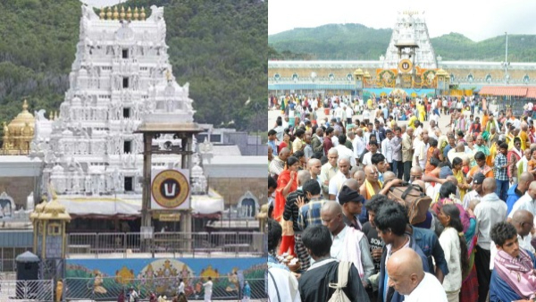 high-court-orders-for-ttd-over-safety-measures-in-tirumala-pedestrian-pathway