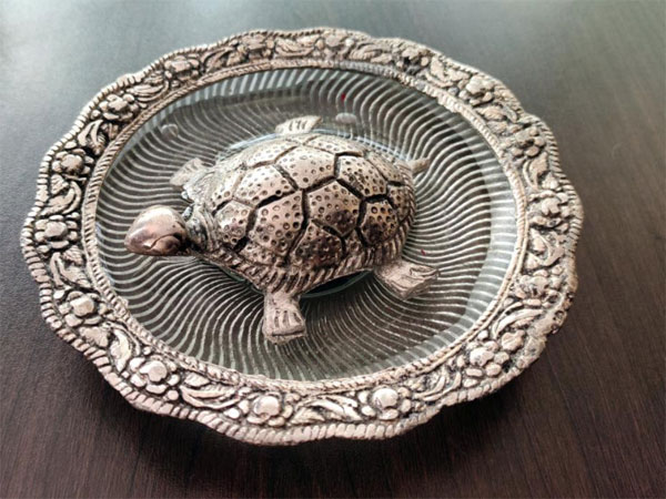 Where should you keep a turtle at home or in the office What type of turtle should you keep