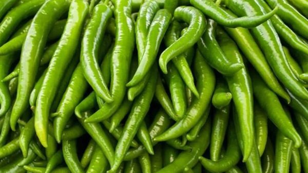 What happens if you eat green chilies every day What happens if you eat green chilies every day