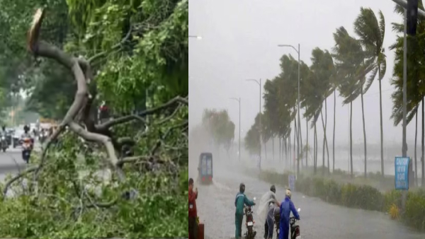 భారీ వర్షాలతో ఉత్తరాంధ్ర అతలాకుతలం.. ఆ మూడు జిల్లాలకు వరదల ముప్పు! | heavy rains in north districts in Andhra Pradesh and high alert - Telugu Oneindia