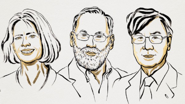 Nobel Prize 2025 in Medicine Awarded for Breakthrough in Immune Tolerance Nobel Prize 2025 in Medicine Awarded for Breakthrough in Immune Tolerance