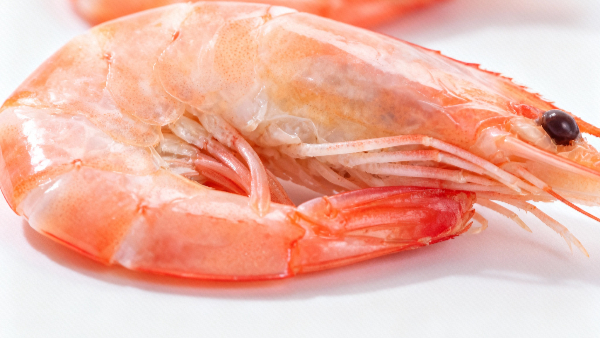 ap minister nara Lokesh gets first import approval for Indian prawns in Australia visit