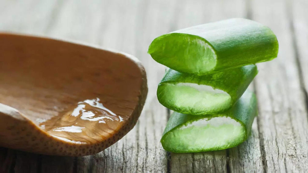 aloevera side effects don t use aloevera these people