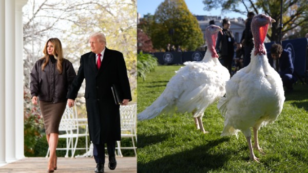 Thanksgiving Week in America Meaning Traditions and the Story Behind the Turkey Pardon