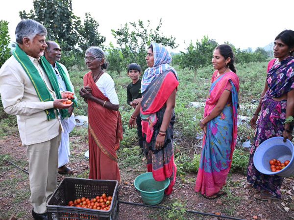 CM Chandra Babu focus on Amaravati farmers issues decided for key meeting