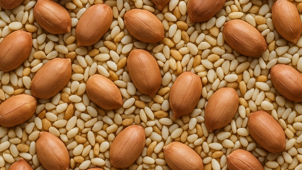 Sesame seeds vs peanuts Which is better for your health Find out Sesame seeds vs peanuts Which is better for your health Find out