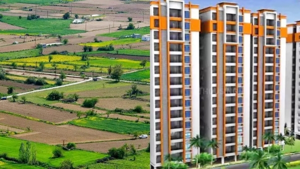 163 Rajiv Swagruha Plots Up for Public Auction in Thorrur Bahadurpally amp amp Kurmalguda Nov 17 18 163 Rajiv Swagruha Plots Up for Public Auction in Thorrur Bahadurpally amp amp Kurmalguda Nov 17 18