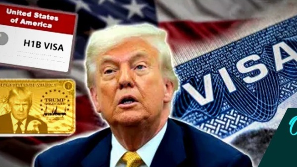 Hyderabad s Ameerpet Shops Selling Fake H1B Visa Documents says Mahvash Siddiqui Hyderabad s Ameerpet Shops Selling Fake H1B Visa Documents says Mahvash Siddiqui