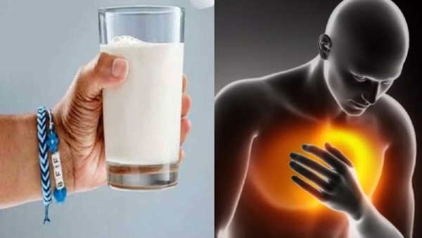 Does Drinking Milk Increase Heart Attack Risk New Study Challenges Old Beliefs Does Drinking Milk Increase Heart Attack Risk New Study Challenges Old Beliefs