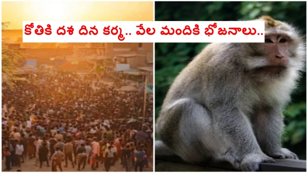 4 000 Villagers Honor Hanuman Incarnate Massive Monkey Funeral Feast in Madhya Pradesh s Rajgarh