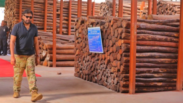 Pawan Kalyan Raids Red Sandal Godowns mamanduru foreest in Tirupati amid allegations Pawan Kalyan Raids Red Sandal Godowns mamanduru foreest in Tirupati amid allegations