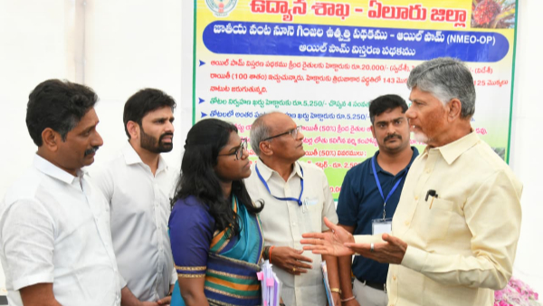 cm Chandrababu serious on eluru collector key comments on welfare schemes cm Chandrababu serious on eluru collector key comments on welfare schemes