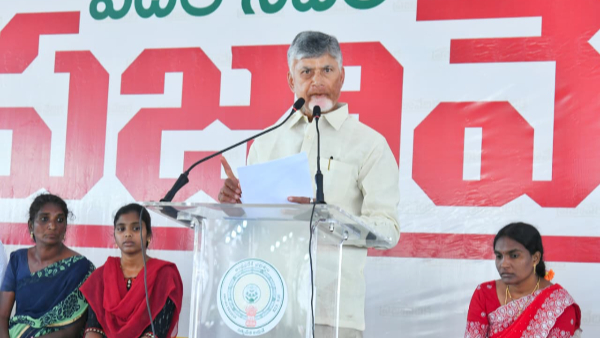 cm Chandrababu serious on eluru collector key comments on welfare schemes cm Chandrababu serious on eluru collector key comments on welfare schemes